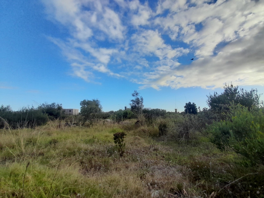 0 Bedroom Property for Sale in Bettys Bay Western Cape